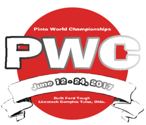 PWC_17_logo